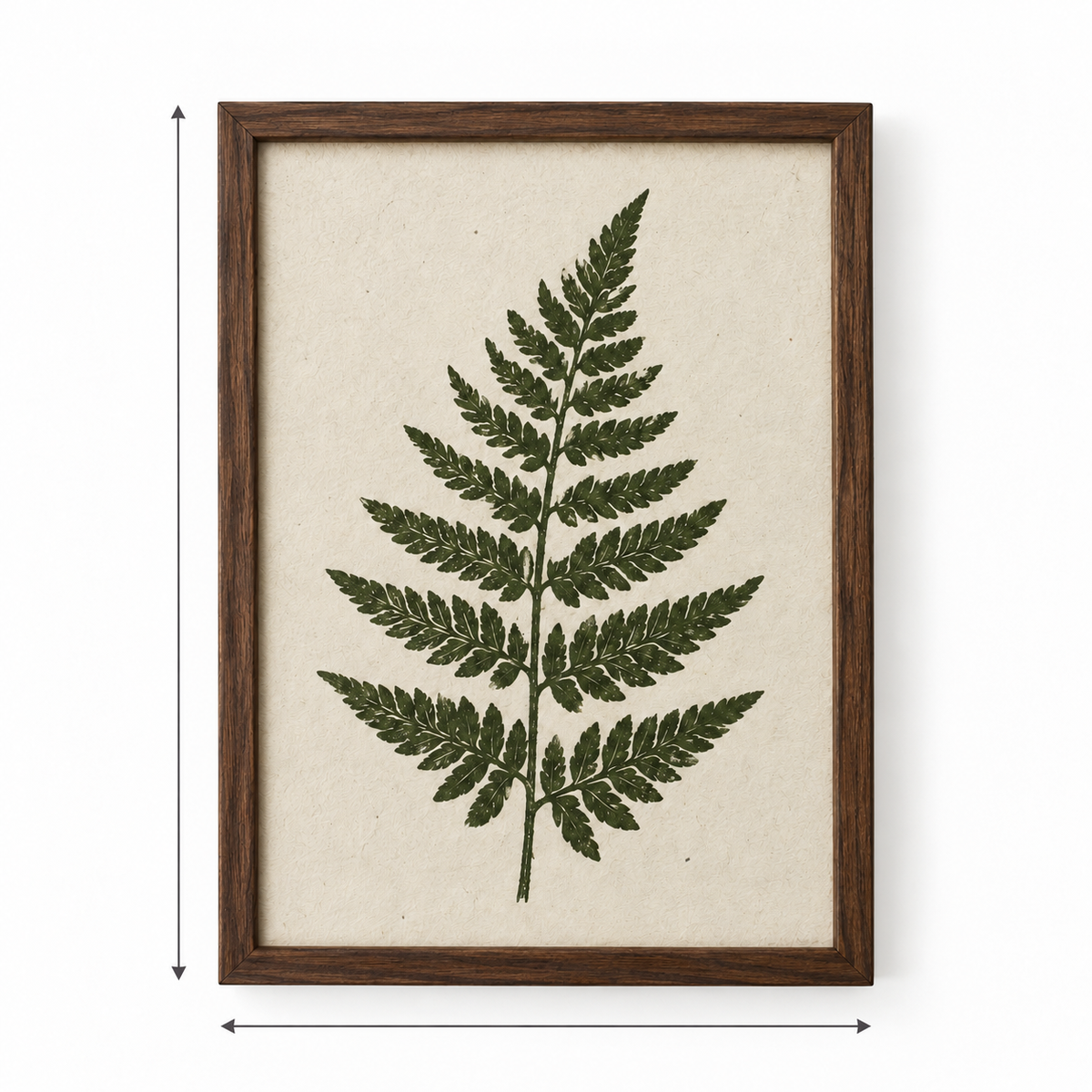 Botanische varenprint in houten lijst
